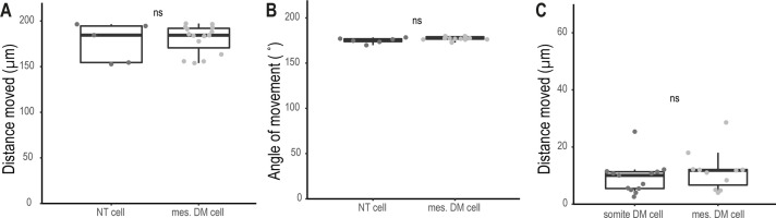 Figure 4—figure supplement 2.