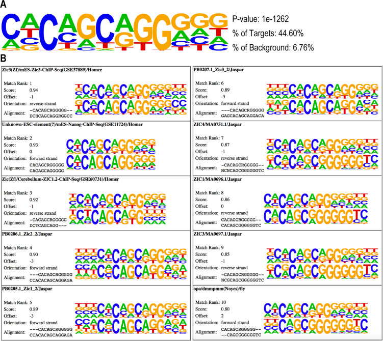 Figure 5—figure supplement 2.