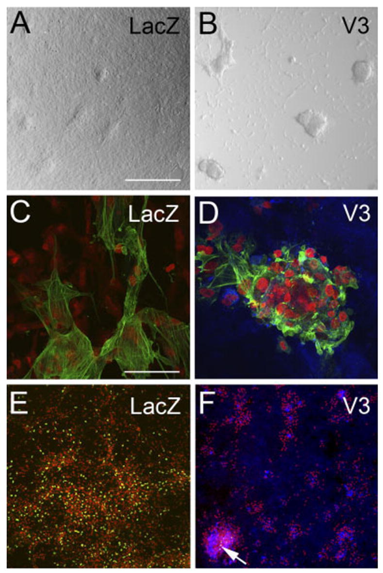 Fig. 9