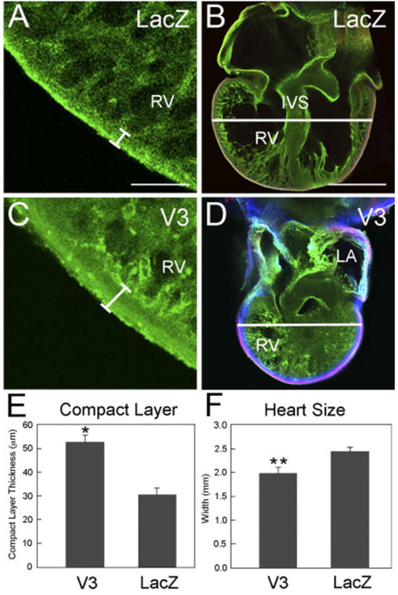 Fig. 11