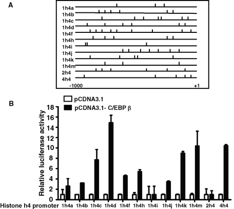 FIGURE 6: