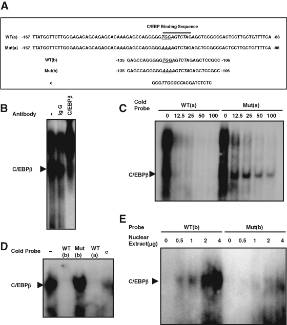 FIGURE 4: