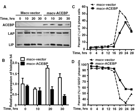 FIGURE 2: