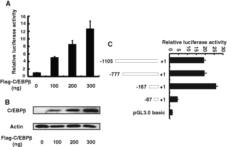 FIGURE 3: