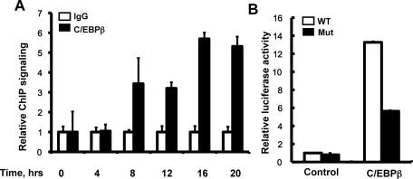 FIGURE 5: