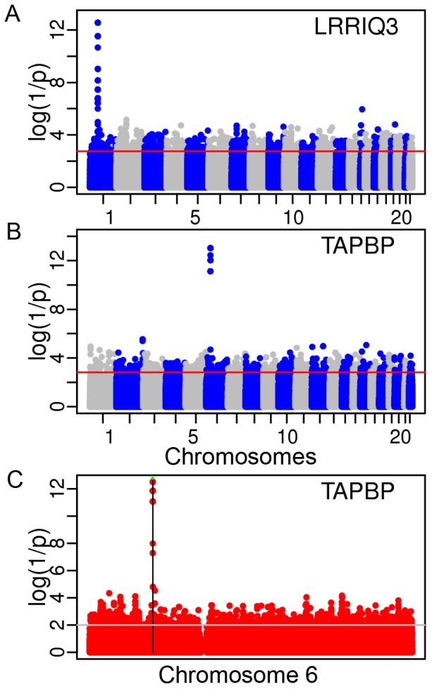 Figure 7