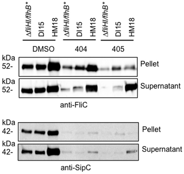 Figure 7