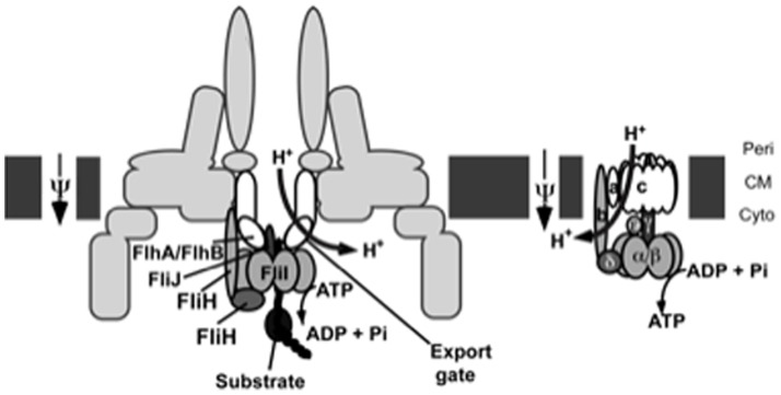 Figure 9