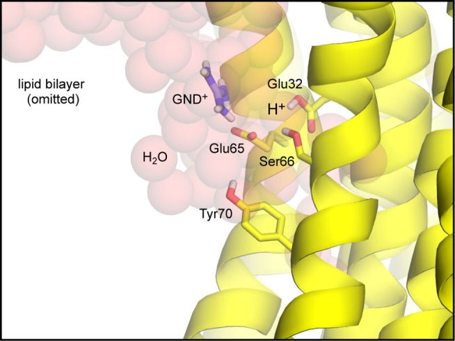 Figure 9