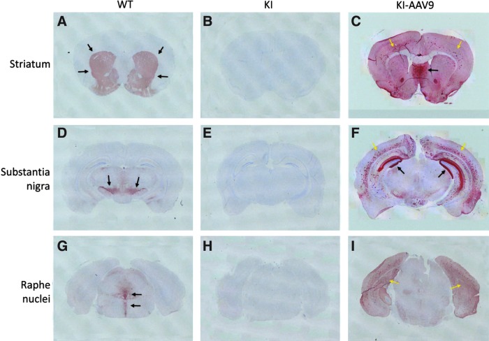 FIG. 7.