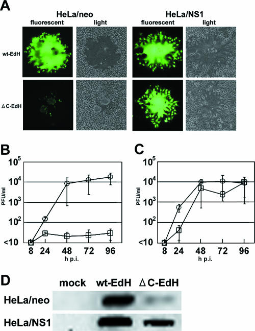 FIG. 4.