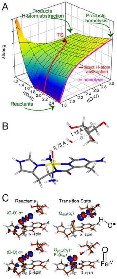 FIGURE 9