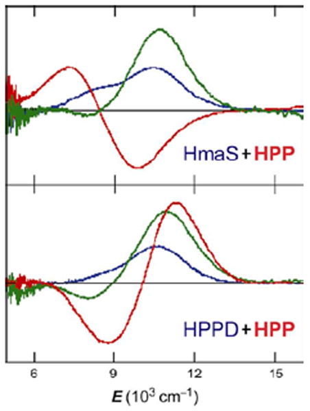 FIGURE 17