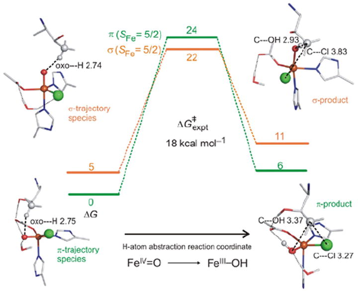 FIGURE 22