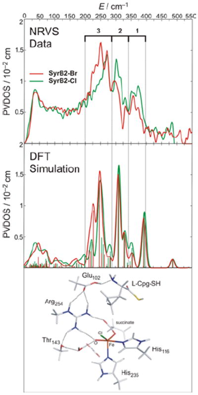 FIGURE 20