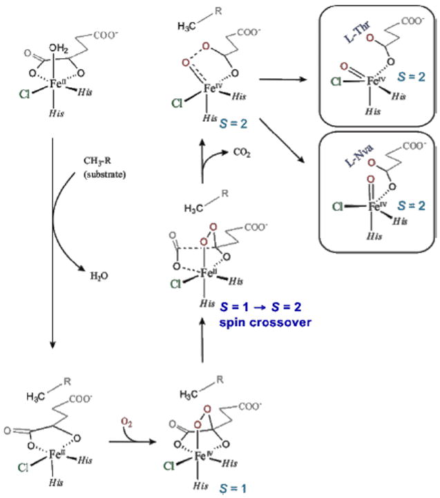 FIGURE 21