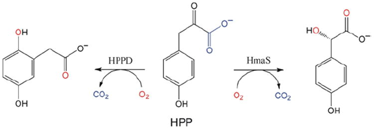 FIGURE 16