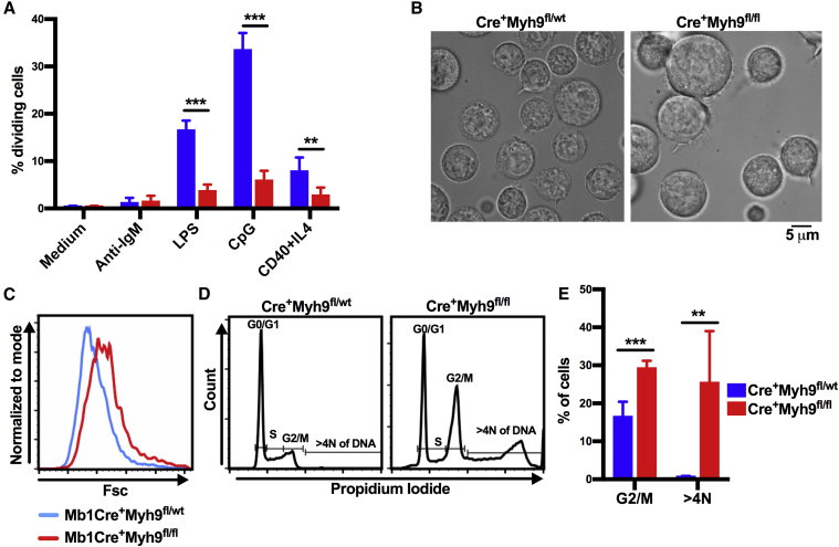 Figure 6