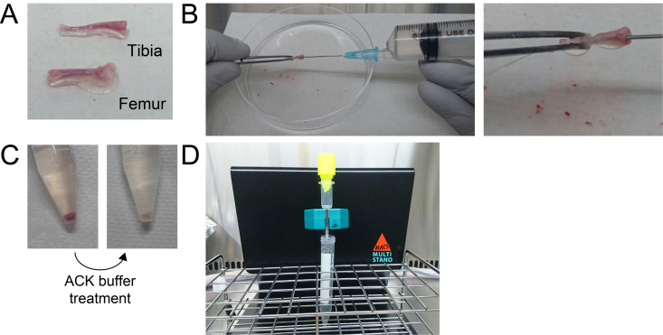 Figure 2.