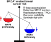 Graphical Abstract