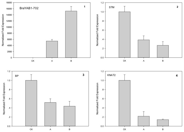 Figure 13