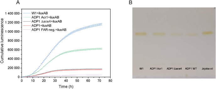 Fig. 2