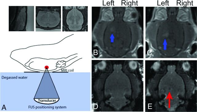 Fig 3.