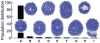 Fig. 17