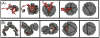 Fig. 22