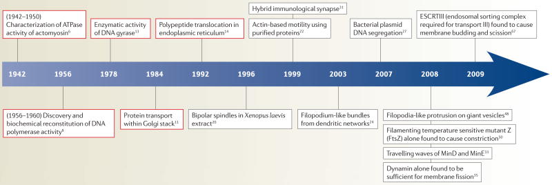 Timeline