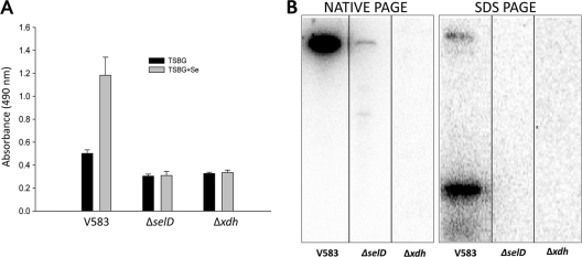 FIG. 8.