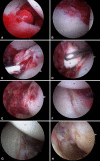 Fig. 2A–H