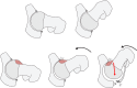Fig. 5