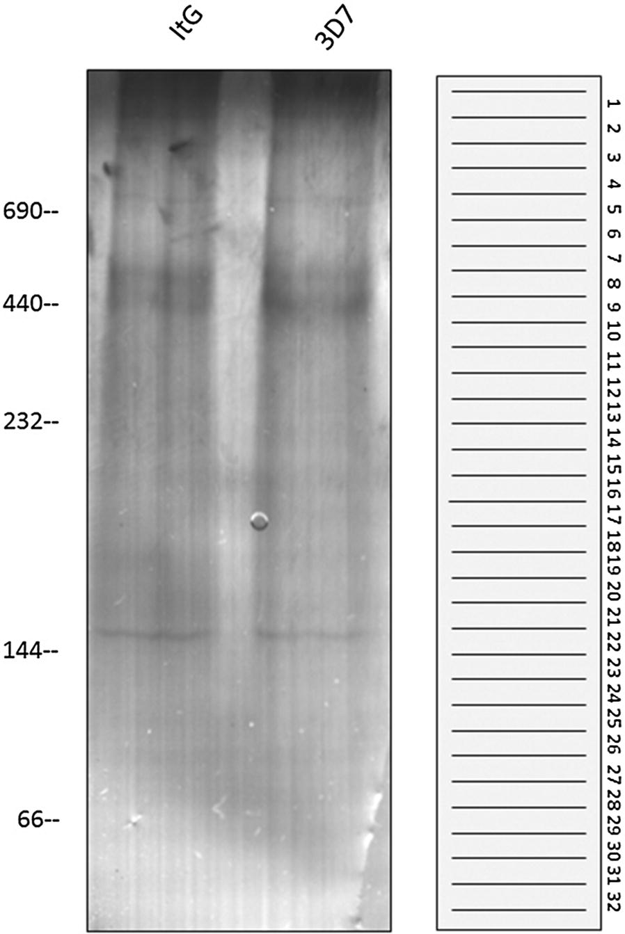 Fig. 2