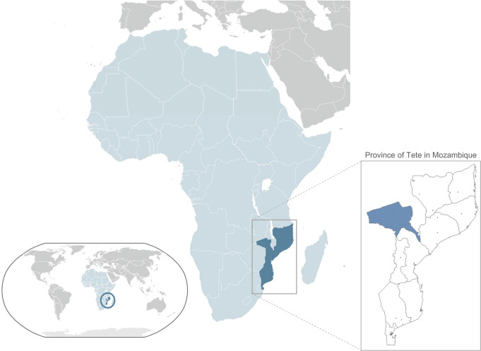 Fig 1