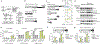 Fig. 2 |