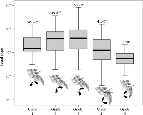 Fig. 7