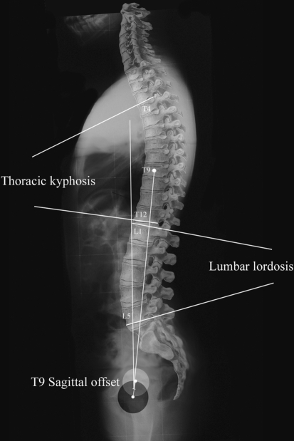 Fig. 2