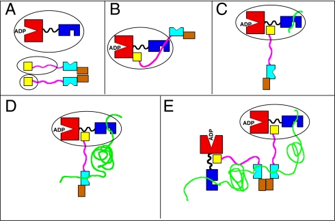 Fig. 2.