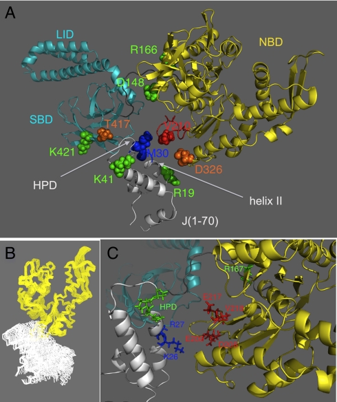 Fig. 4.