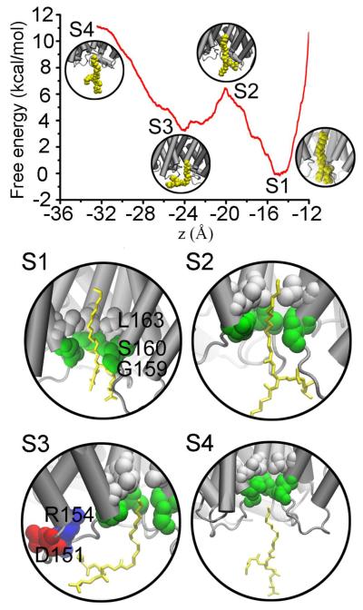 Fig. 4