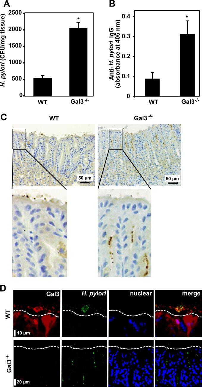 FIG 2