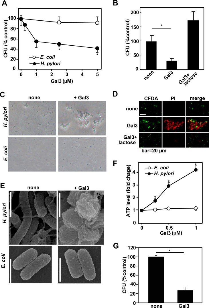 FIG 6