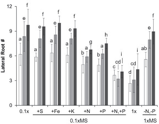 Figure 3.