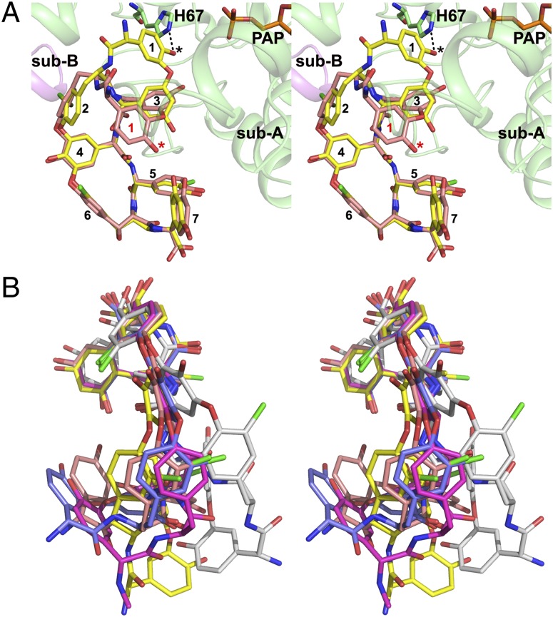 Fig. 3.