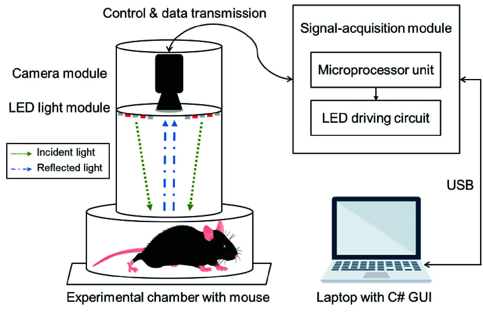FIGURE 1.