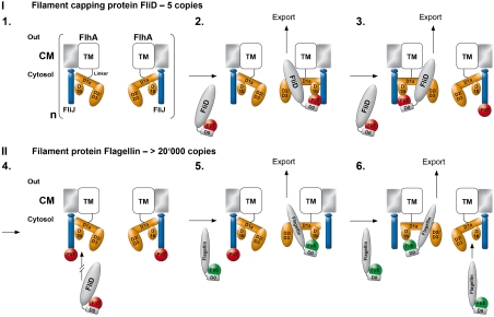 Fig. 5.