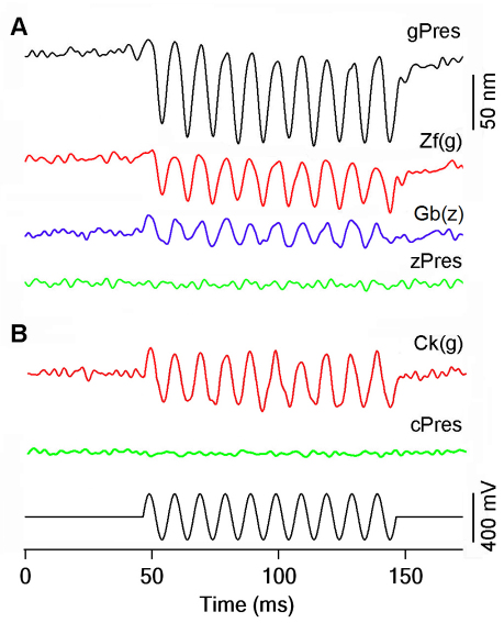 Fig. 6.