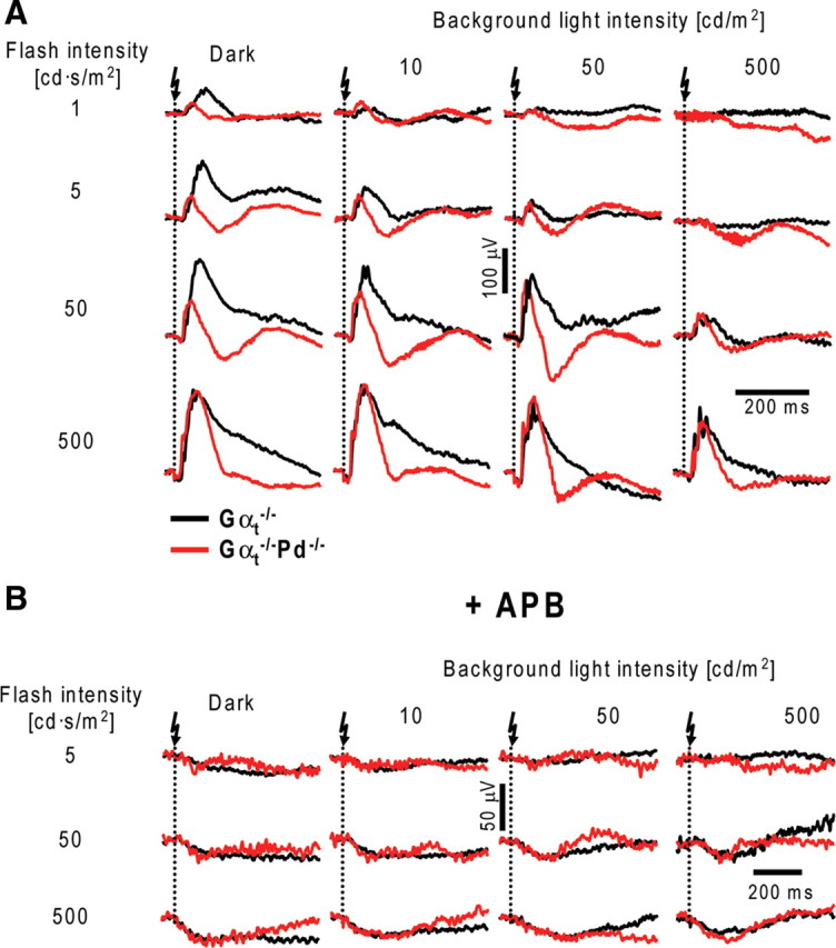 Figure 10.