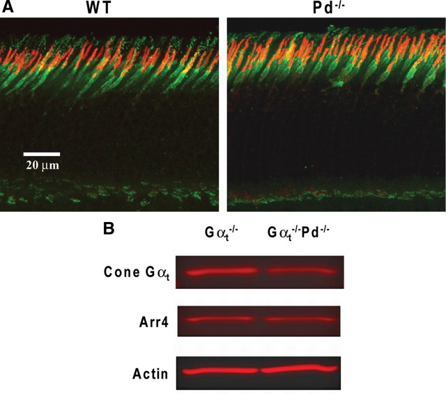 Figure 12.